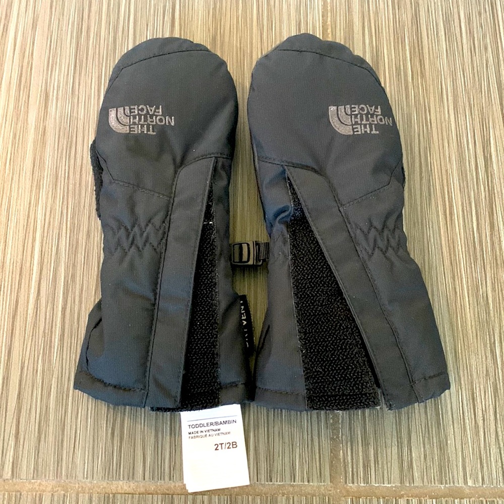 The north face kids mitten- size 2T